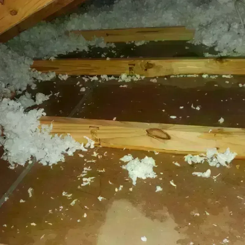 Attic Water Damage in Terrytown, LA